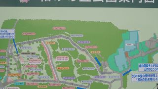緑豊な心癒される公園