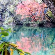 紅葉シーズンには澄んだ水に色づいた木が映ってきれいです。