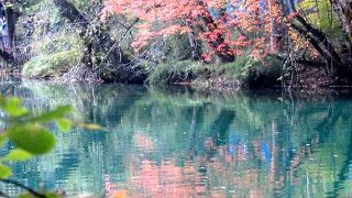 紅葉シーズンには澄んだ水に色づいた木が映ってきれいです。