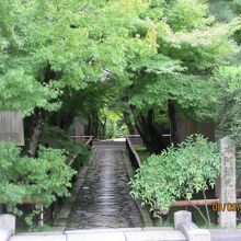 緑あふれる趣ある門