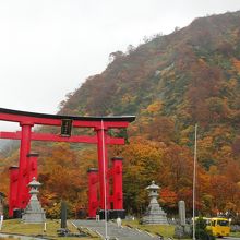 色とりどりの紅葉を背景に圧倒的なスケールの鳥居が負けてない。