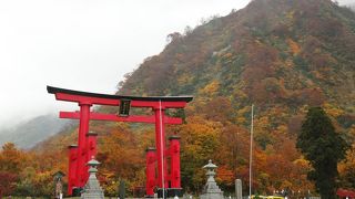 紅葉の時期におすすめ