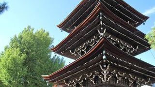 色づきはまだでした