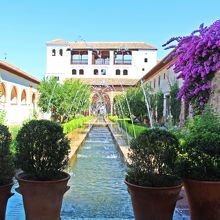 アセキアの中庭