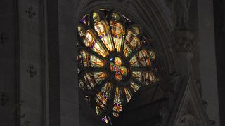 ナンシーの散歩道にありました。