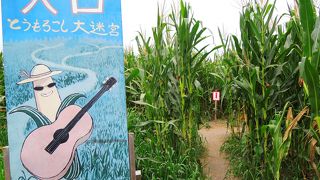 美味しいソフトクリームも