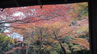 滋賀の紅葉の名所です