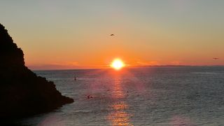 おしどまり港に並んだ昆布は見事です