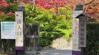 弘前城三の丸に・・・