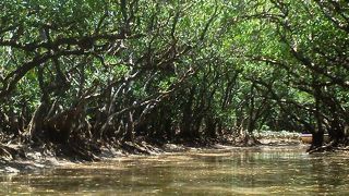 他ではなかなか出来ない体験