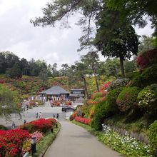 散策するのにちょうどいい広さです