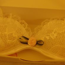 ランジェリー型サシェ