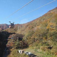 ゴンドラからの眺め