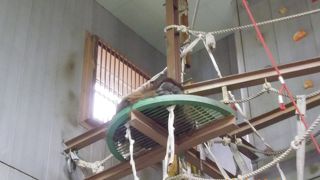 行動展示を見に