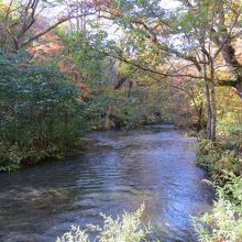 奥入瀬渓流