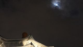 夜もいいですよ