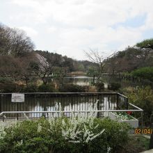公園入口にある大きな池