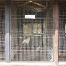 公園内の鳥の動物園