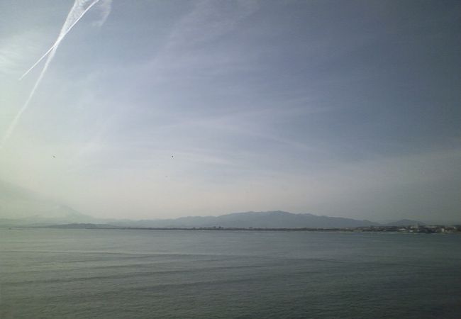 美味しく安いです。