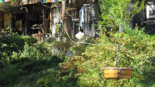 対岸のお茶屋から・・・