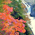 紅葉の名所
