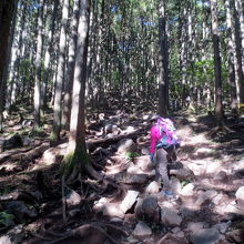 多くはないですが、険しい場所もあります。