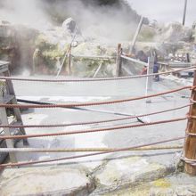 自然のエネルギーが感じられます