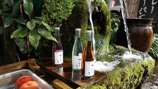 楽しかったです