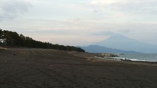 わんちゃんを散歩に連れていくことにもおすすめ