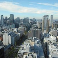 客室からの眺め