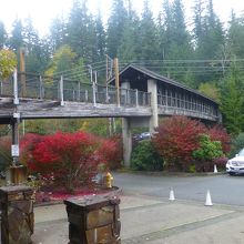 駐車場からこんな橋を渡って滝へ