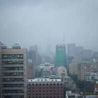 運がよければ１０１も見えます