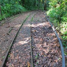 ジャングルの中の複線トロッコレール。右手はモノレールのレール
