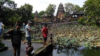 蓮の池を眺めながらのんびり