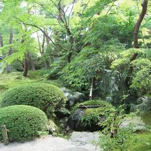 色々な庭が美しい