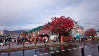 小樽運河の絶景ポイント