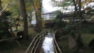 樹齢数百年の見事な・・・