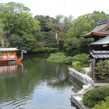 美しいでしょう