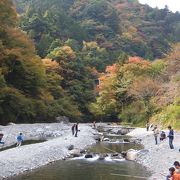 気軽に魚釣りを楽しむ事が出来ました。