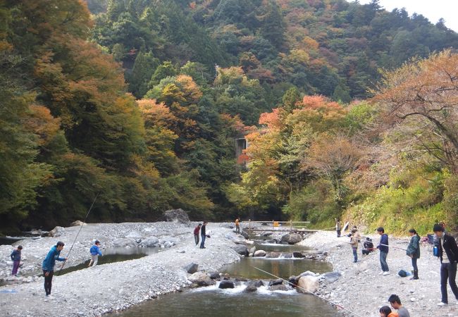 氷川国際ます釣場 クチコミ アクセス 営業時間 奥多摩 フォートラベル