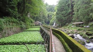 階段が少しきついです