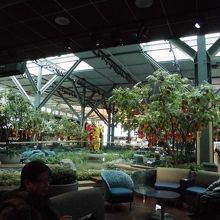 きれいな制限エリア！