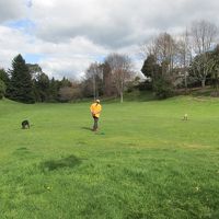 裏は広〜い公園。犬を走らせてもいいし、人が散歩してもいい。
