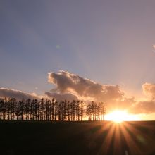 防風林の端に沈む夕日（10月10日撮影）