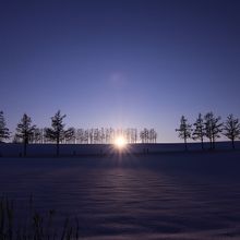 林の中に沈む夕日（1月1日撮影）