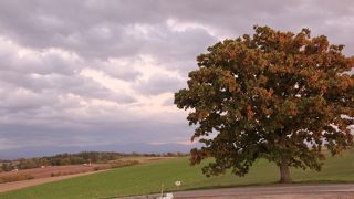 近くの風景もきれいです