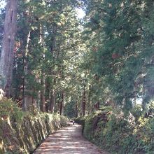 杉並木公園の西側駐車場から東側を見た