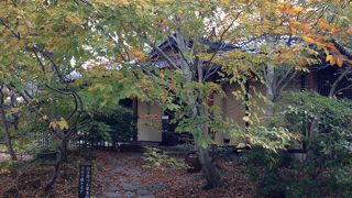 天ぷらもお蕎麦も雰囲気も◎