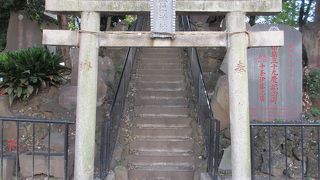 東京で富士登山？