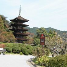 見飽きない風景です